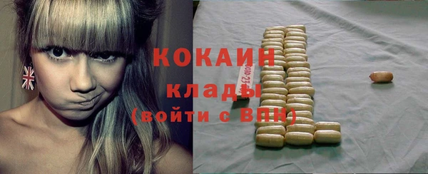 тгк Снежногорск