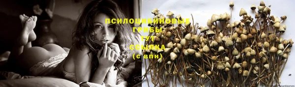 тгк Снежногорск