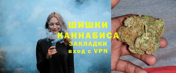 тгк Снежногорск