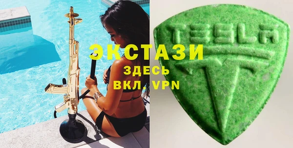тгк Снежногорск