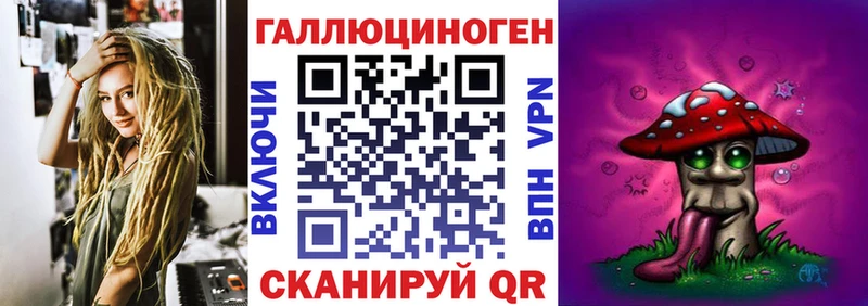 где найти наркотики  Ленинградская  Галлюциногенные грибы Cubensis 